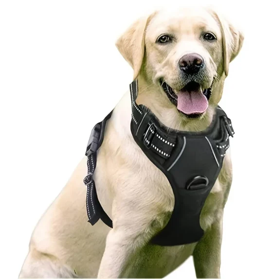 kf-Sebf78378ded44553982b1311e3092c003-Dog-Harness-No-Pull-Pet-Harness-with-2-Leash-Clips-Adjustable-Soft-Padded-Dog-Vest-Black